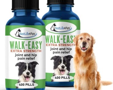 Best Supplement for Hip Dysplasia in Dogs: Top Picks for 2024