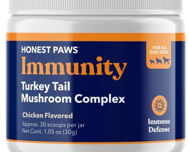 Best Turkey Tail Supplement for Dogs: Top Picks for Optimal Health