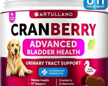 Best Urinary Tract Supplement for Dogs in 2024