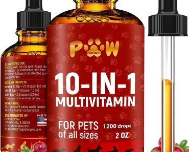 Best Vitamin B12 Supplement for Dogs: Top Picks for Optimal Health
