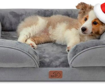 8 Best Dog Beds for Older Dogs: Comfortable and Supportive Options