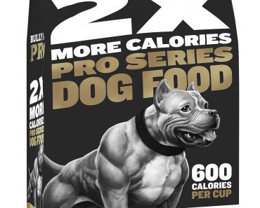 Best Dog Food to Gain Weight: Top Picks for Healthy Canine Weight Gain