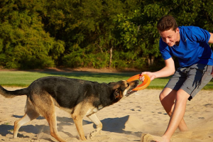 The 8 Best Dog Frisbee for High-Flying Fun with Your Furry Friend