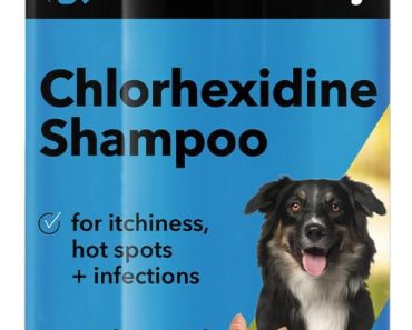 Best Dog Shampoo for Itchy Skin: Top 5 Products in 2023
