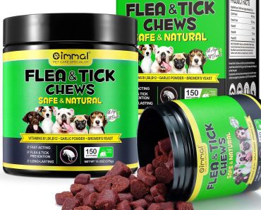 The Best Flea Treatment for Dogs Without a Vet Prescription in 2024
