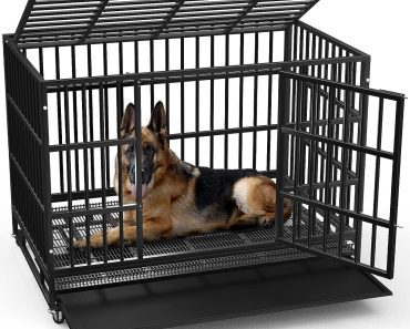 8 Best Kennels for Dogs with Anxiety: Our Top Picks
