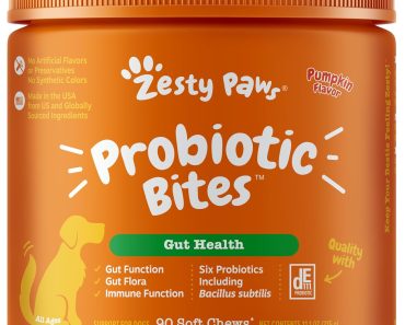 Best Probiotic Supplement for Dogs: Top Picks for Optimal Digestive Health
