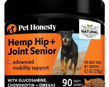 Best Senior Dog Supplement: Top Picks for Optimal Health in 2024