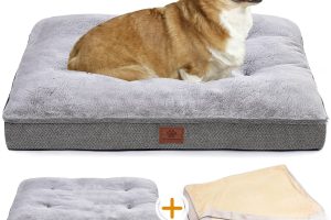 The Best Waterproof Dog Bed for Your Canine Companion