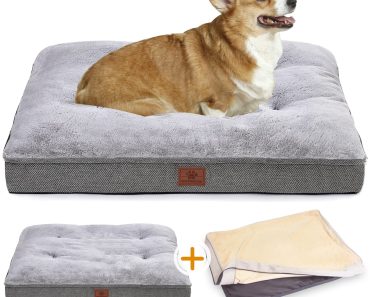 The Best Waterproof Dog Bed for Your Canine Companion