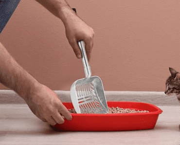 The Best Long Handle Cat Litter Scoop for Easy and Convenient Cleaning