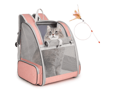 8 Best Cat Backpack Carrier for Safe and Comfortable Travel