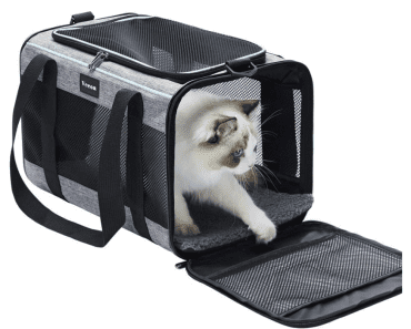 The Best Cat Carrier for Plane Travel in 2024