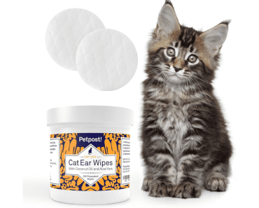 8 Best Cat Ear Wipes for Clean and Healthy Ears in 2024