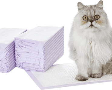 8 Best Cat Pee Pads for Odor Control and Absorption in 2024