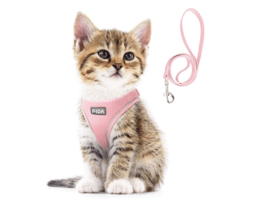 Best Harness for Kittens: Top 8 Picks for Comfort and Safety in 2024