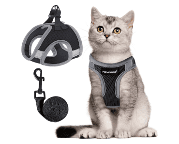 Best Cat Harnesses for Walking: Top 8 Picks for 2024