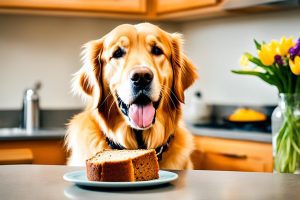 Can Dogs Eat Banana Nut Bread? A Comprehensive Guide 2024