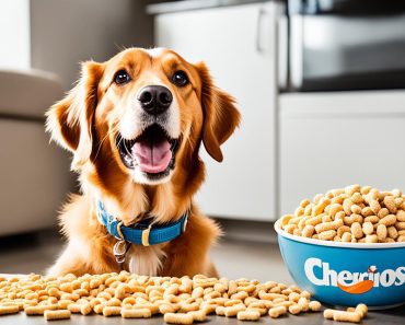 Can Dogs Eat Cheerios? 4 Important Things You Should Know