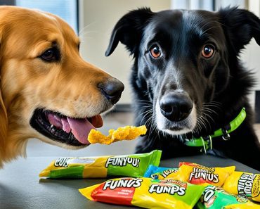 Can Dogs Eat Funyuns? 4 Essential Reasons Why It Is Unhealthy