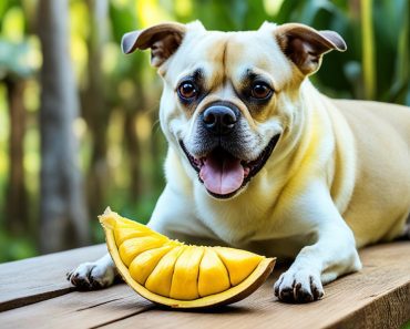 Can Dogs Eat Jackfruit? 3 Safe Snacking Precautions