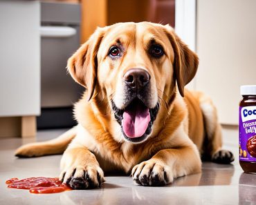 Can Dogs Eat Jelly? 4 Expert Tips For Safe Feeding