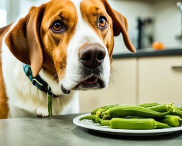 Can Dogs Eat Okra? 4 Safe Precautions You Need to Know