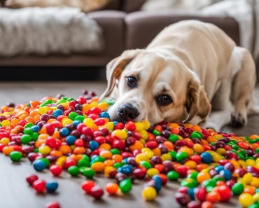 Can Dogs Eat Skittles? Discover 3 Safe Treat Alternatives