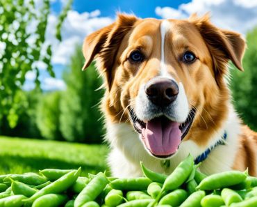 Can Dogs Eat Snap Peas? 3 Healthy Ideas in Adding This to Your Pup’s Diet