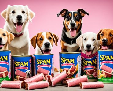 Can Dogs Eat Spam? Discover 3 Potential Risks to Your Pup