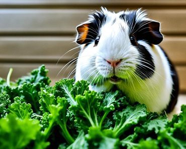 Can Guinea Pigs Eat Kale? 3 Safe Feeding Tips