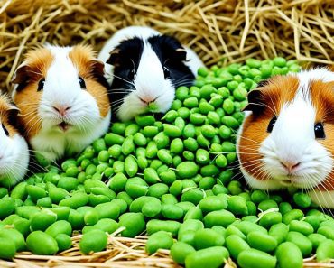 Can Guinea Pigs Eat Peas? Safe Snack Tips and 4 Benefits Revealed