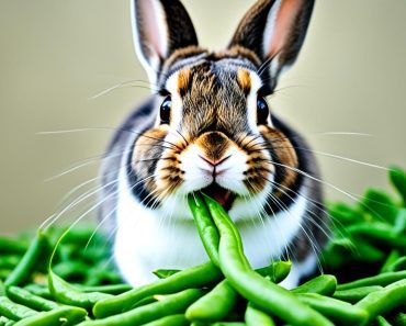 Can Rabbits Eat Green Beans? 4 Essential Benefits