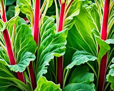 Can Rabbits Eat Rhubarb? How to Feed It in 4 Safe Ways