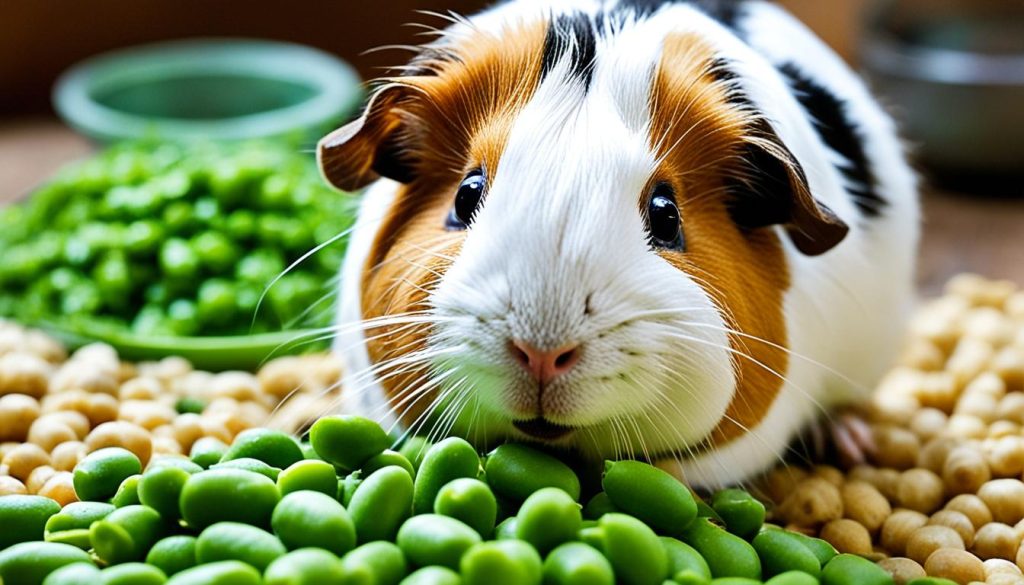 peas for guinea pigs