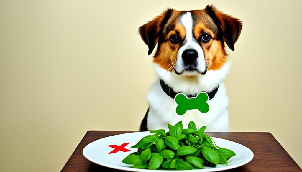 risks of feeding basil to dogs